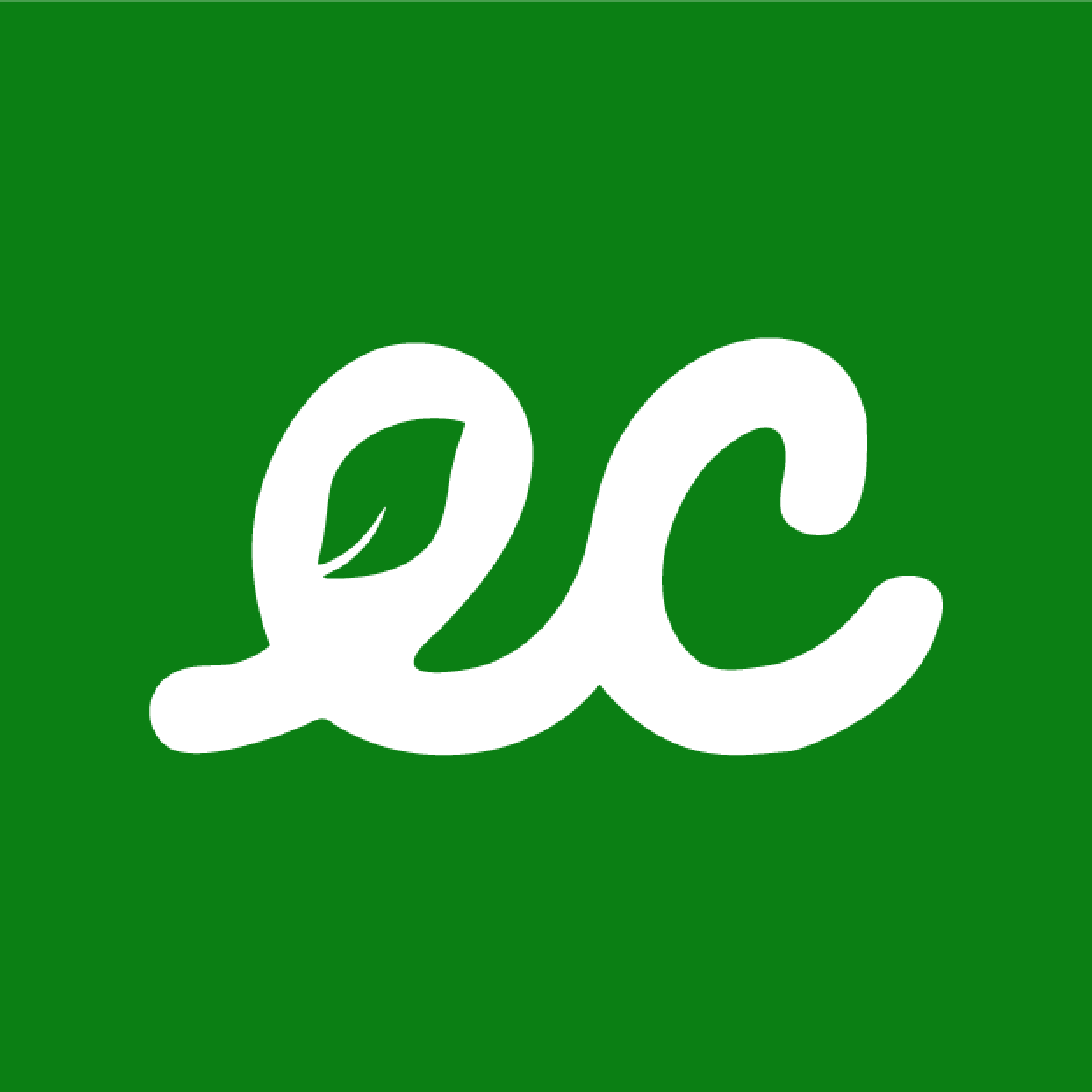 Earth Store App